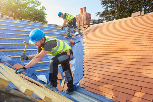 Best Roof Maintenance and Cleaning  in Sweet Springs, MO